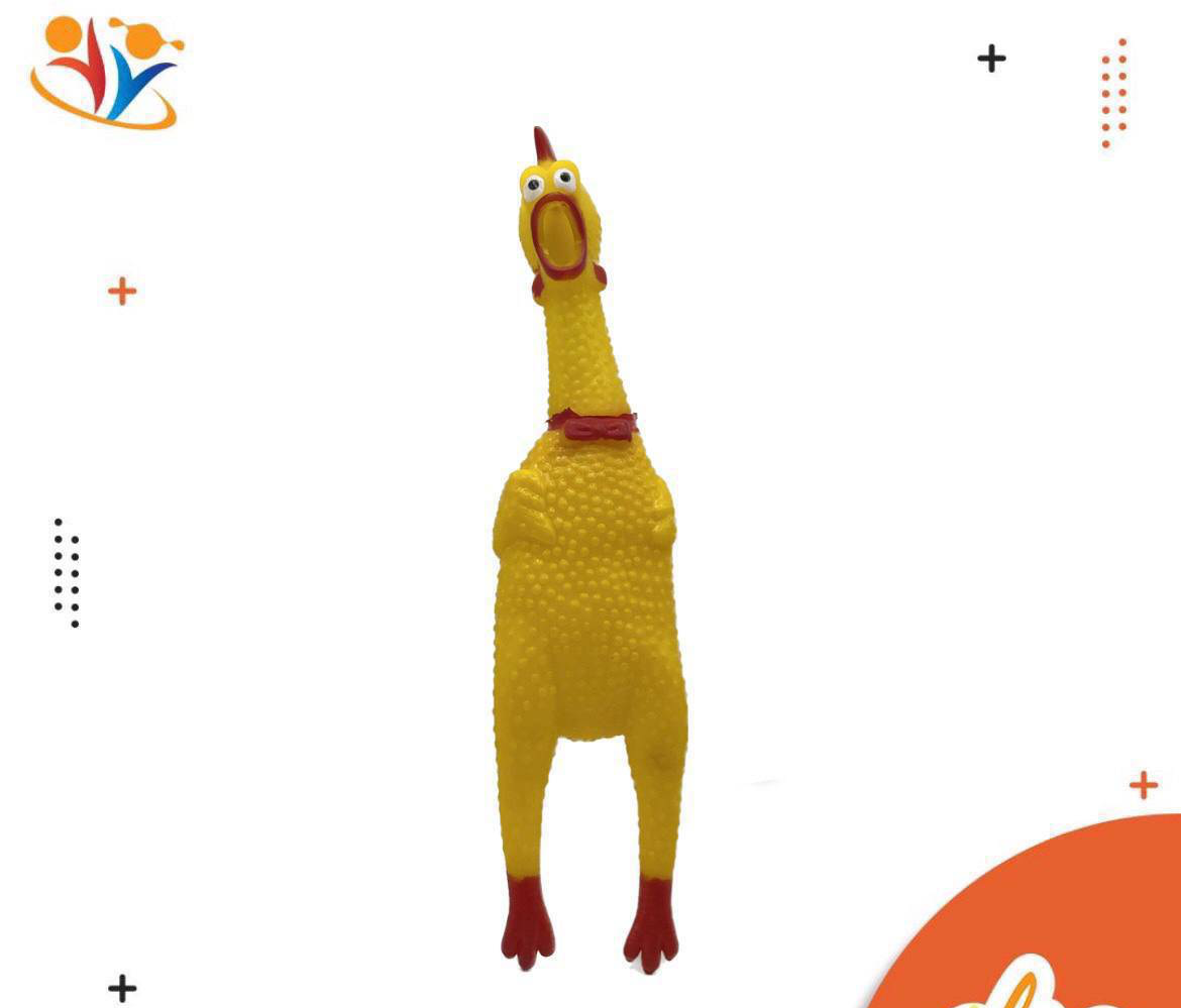مرغ نالان ۳۰ سانت